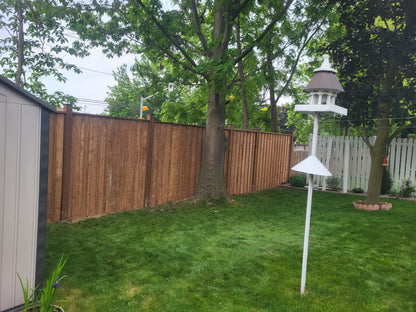 FENCES